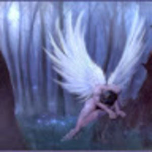 Meet your Posher, Suzy